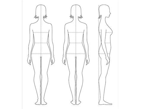 zeichnungen frauenkörper|weibliche körperfiguren tabelle.